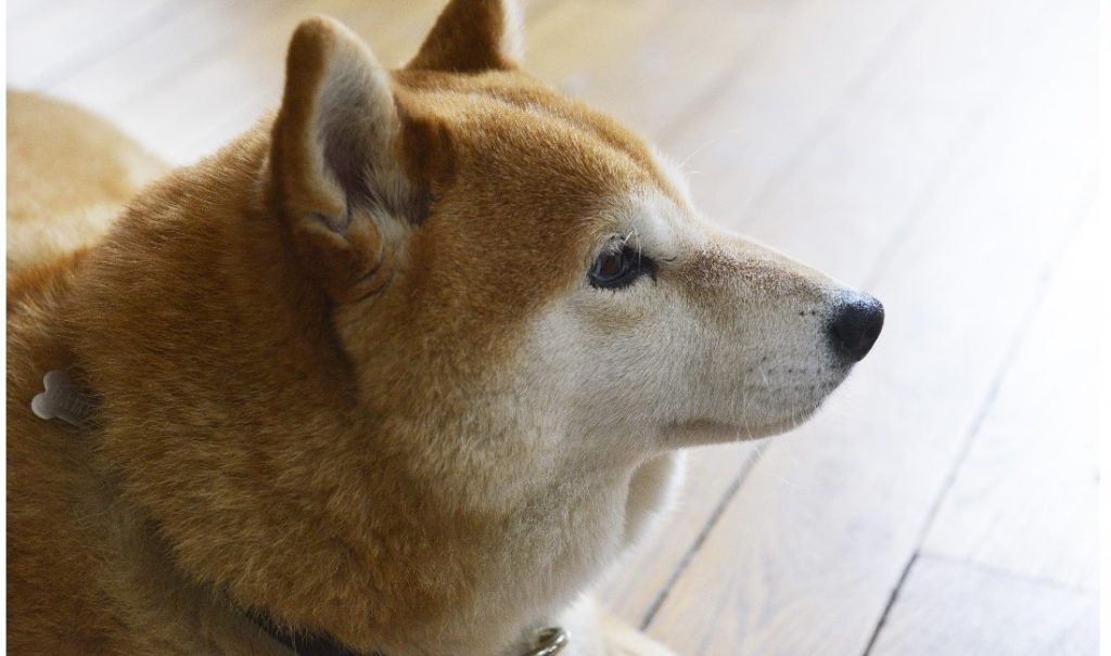 こんな大変な世の中で 誰かと幸せになる方法 Ginger ジンジャー 自分を主役にした人生を