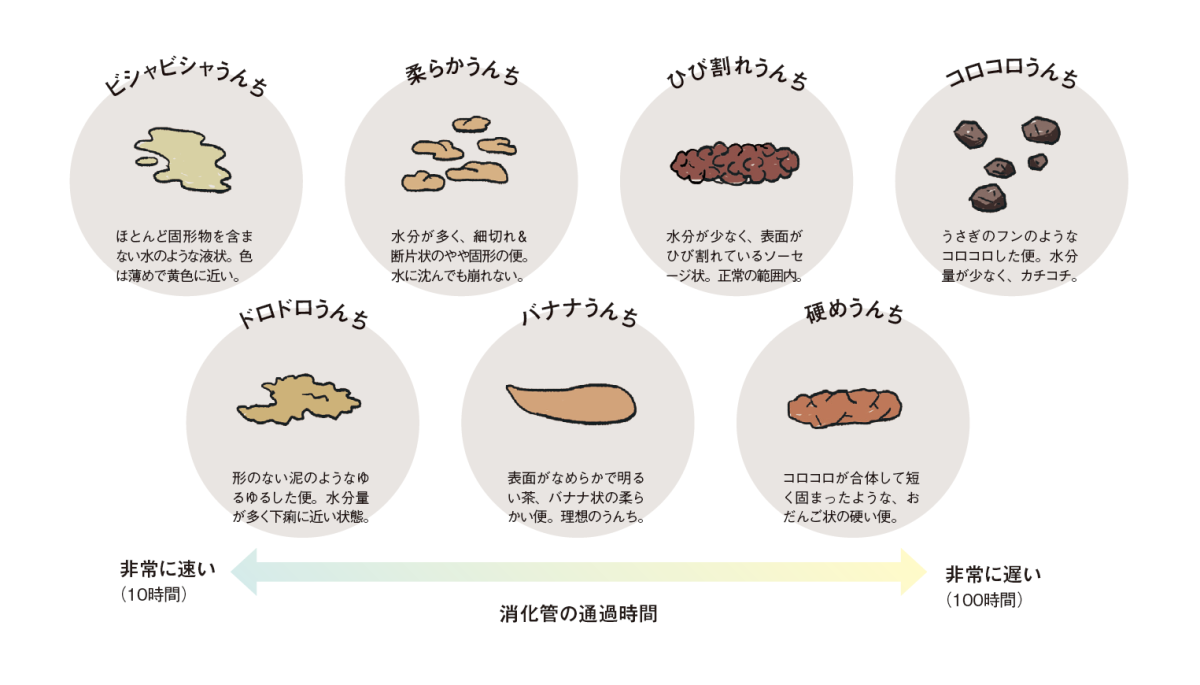 美腸のスペシャリストが教える、腸がととのう生活習慣 | GINGER