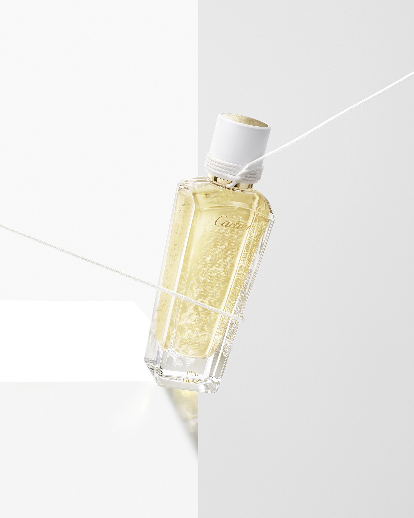 なんてロマンティック！4月に一瞬だけ花を咲かせる儚いライラックの