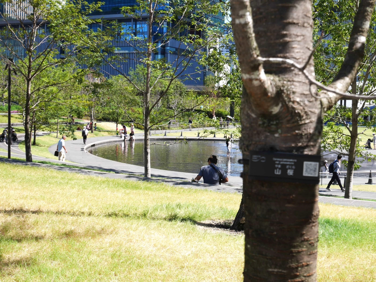 うめきた公園　サウスパーク