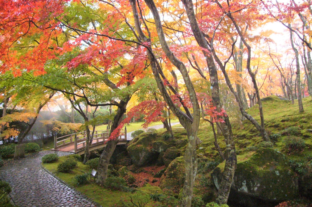 箱根美術館　紅葉　庭