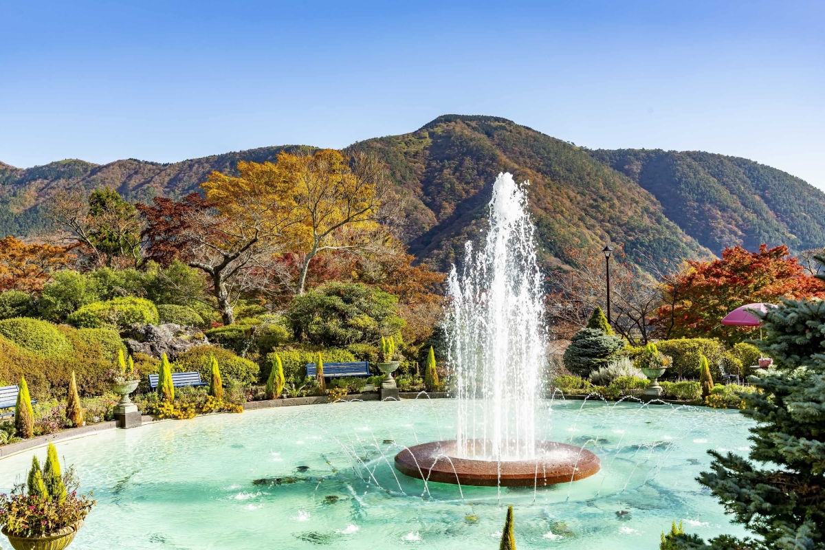 箱根強羅公園　紅葉