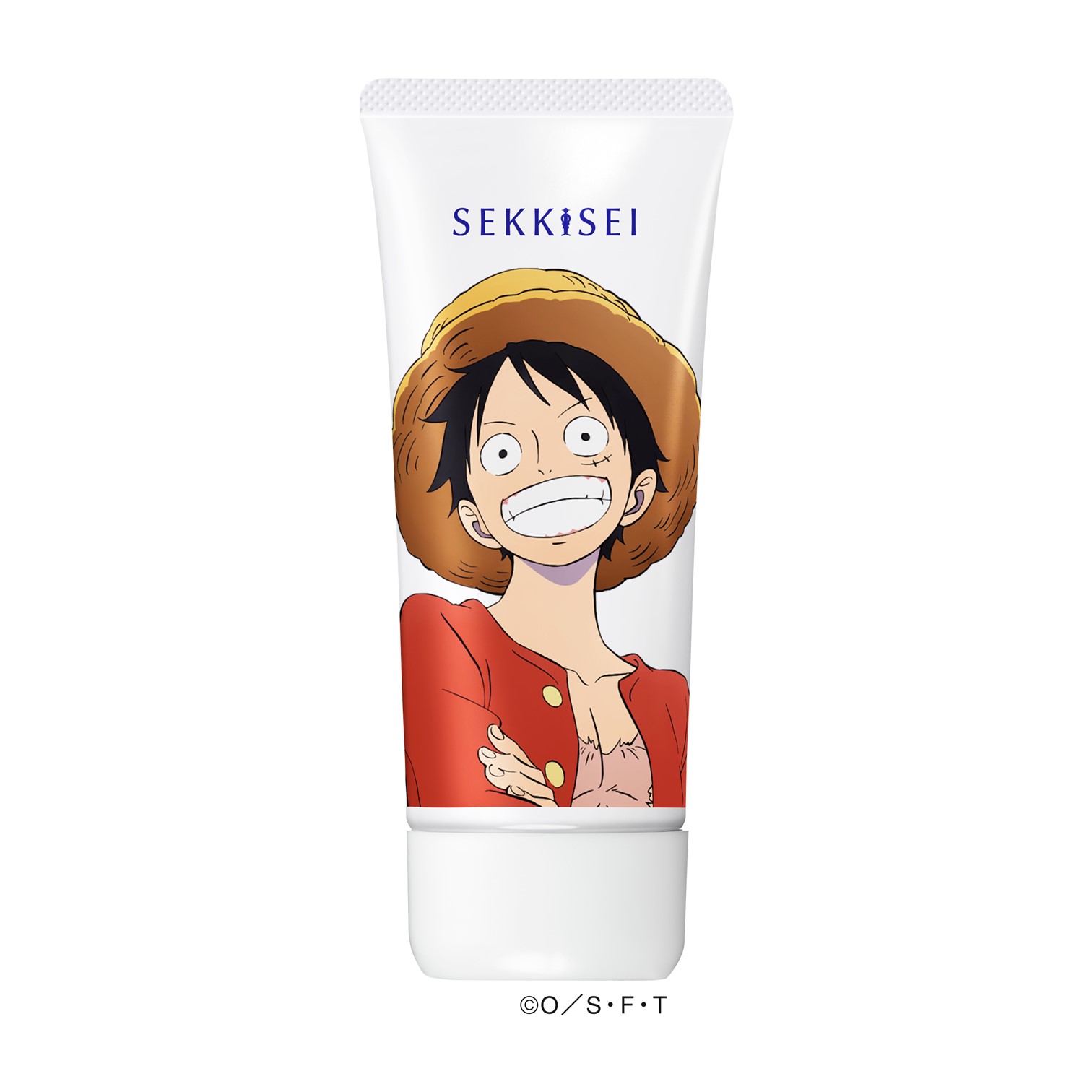 sekkisei-onepiece-luffy-1.jpg